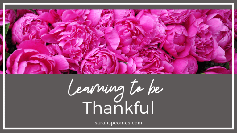 Learning to be Thankful