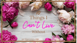 Things I Can’t Live Without