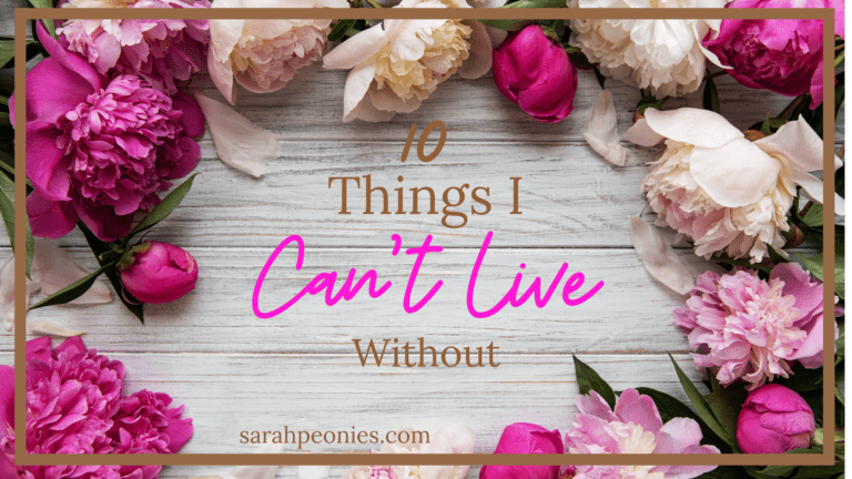 Things I Can’t Live Without