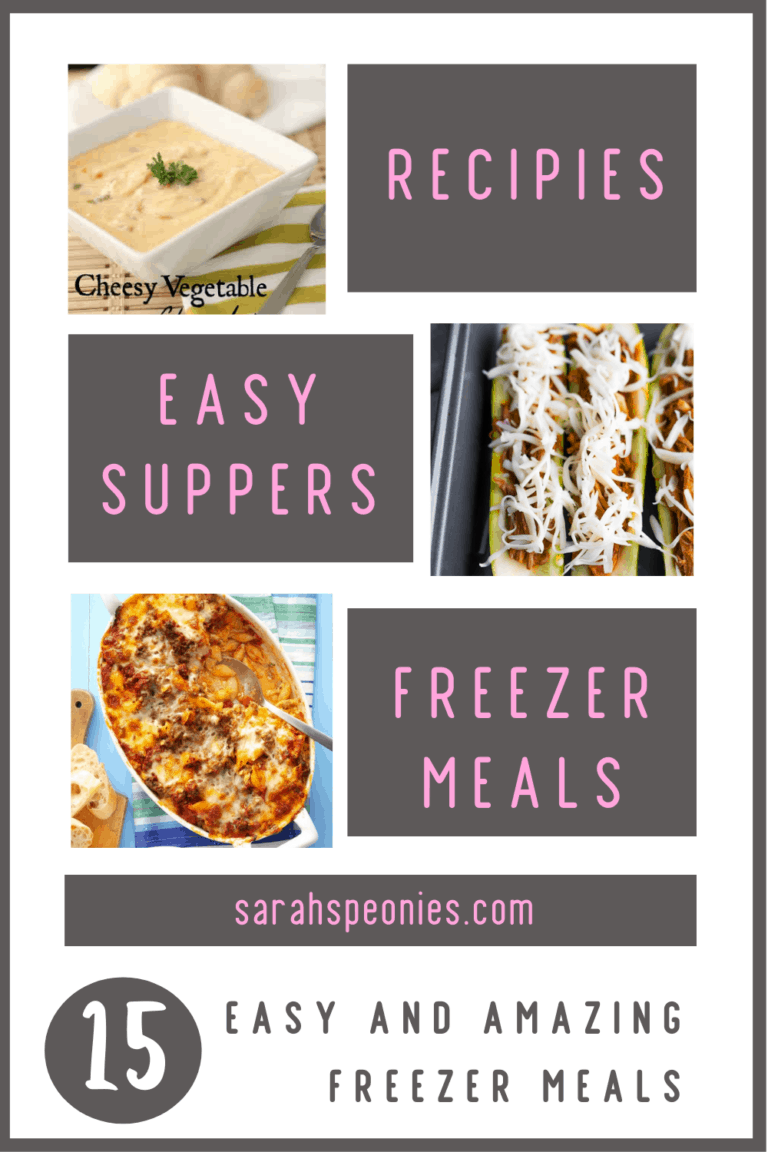 15 Easy and Amazing Freezer Meals!
